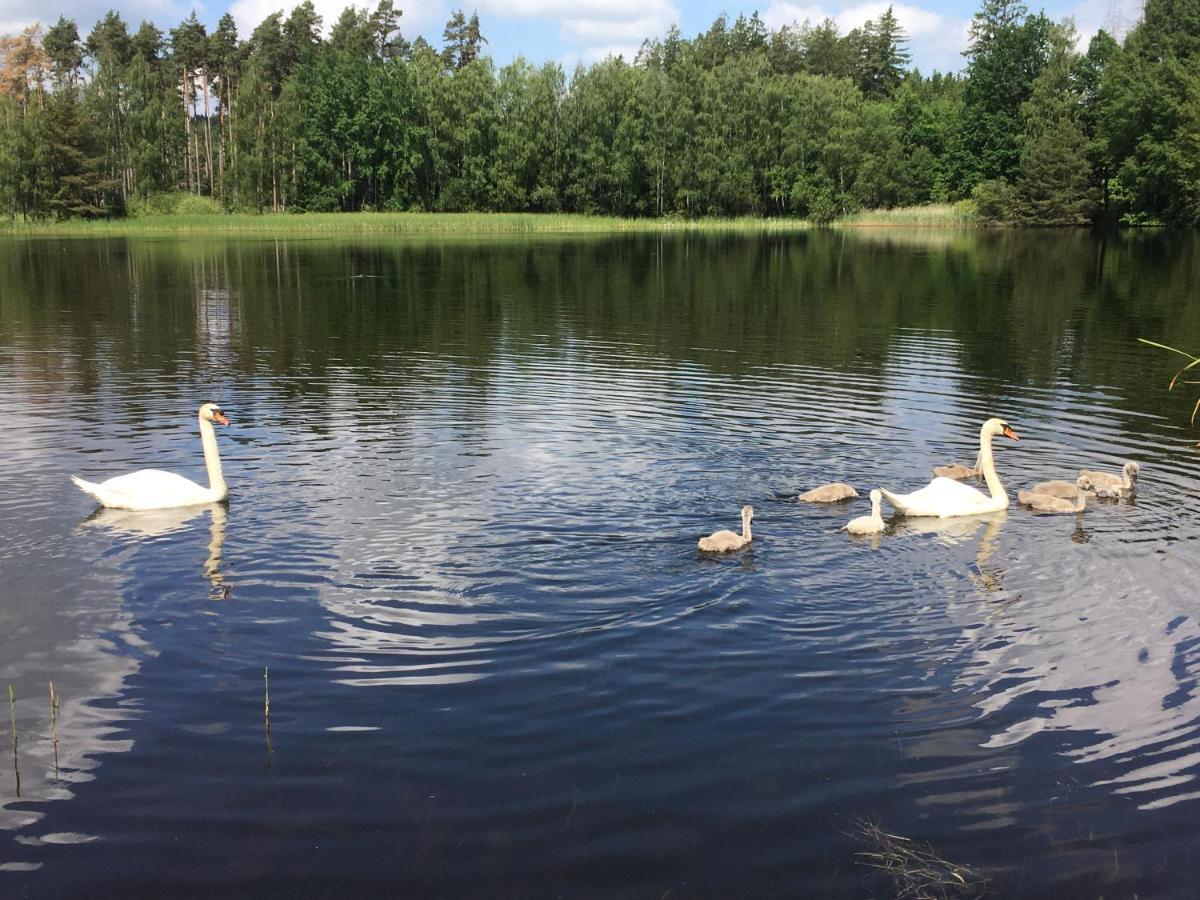 Apartmany U Parezace Humpolec Exteriör bild